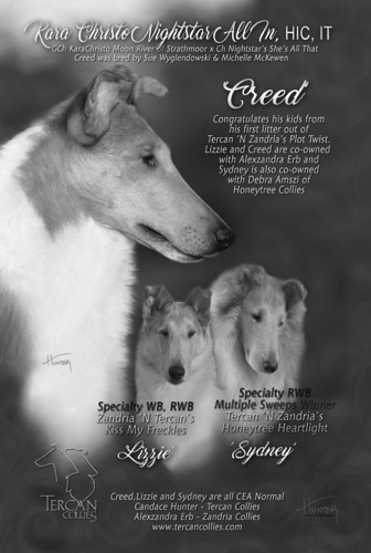 Creed ad2017_CCAYB_FullPage.jpg